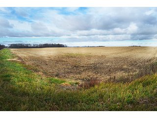 Property photo 39 - LAND AUCTION - 276.5+/- ACRES OFFERED IN 5 TRACTS IN EAST ALLEN COUNTY